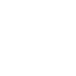 poliface